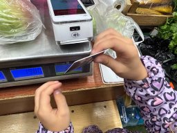 1b2ef212-d372-40fc-83c2-c239dd45cc75