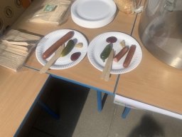 piknik7