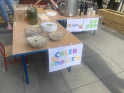 piknik8